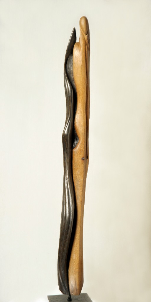 CAPO-NEGRA
Chêne et cire noire
100 x 15 cm
non disponible
